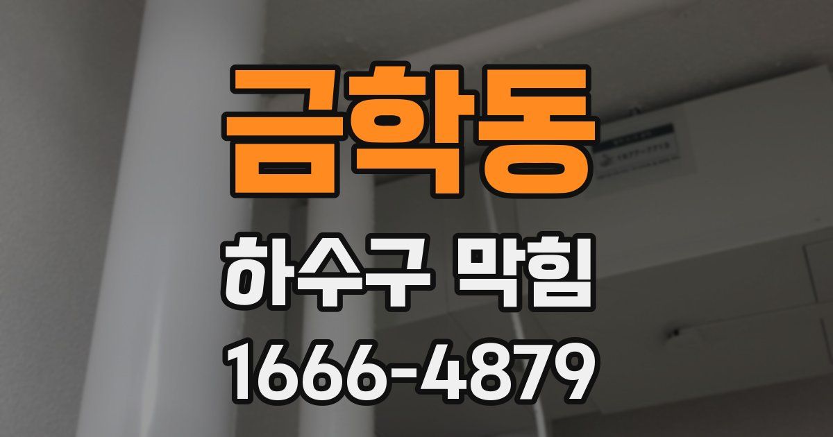 금학동 하수구 막힘