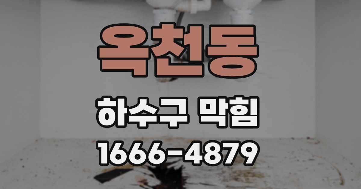옥천동 하수구 막힘