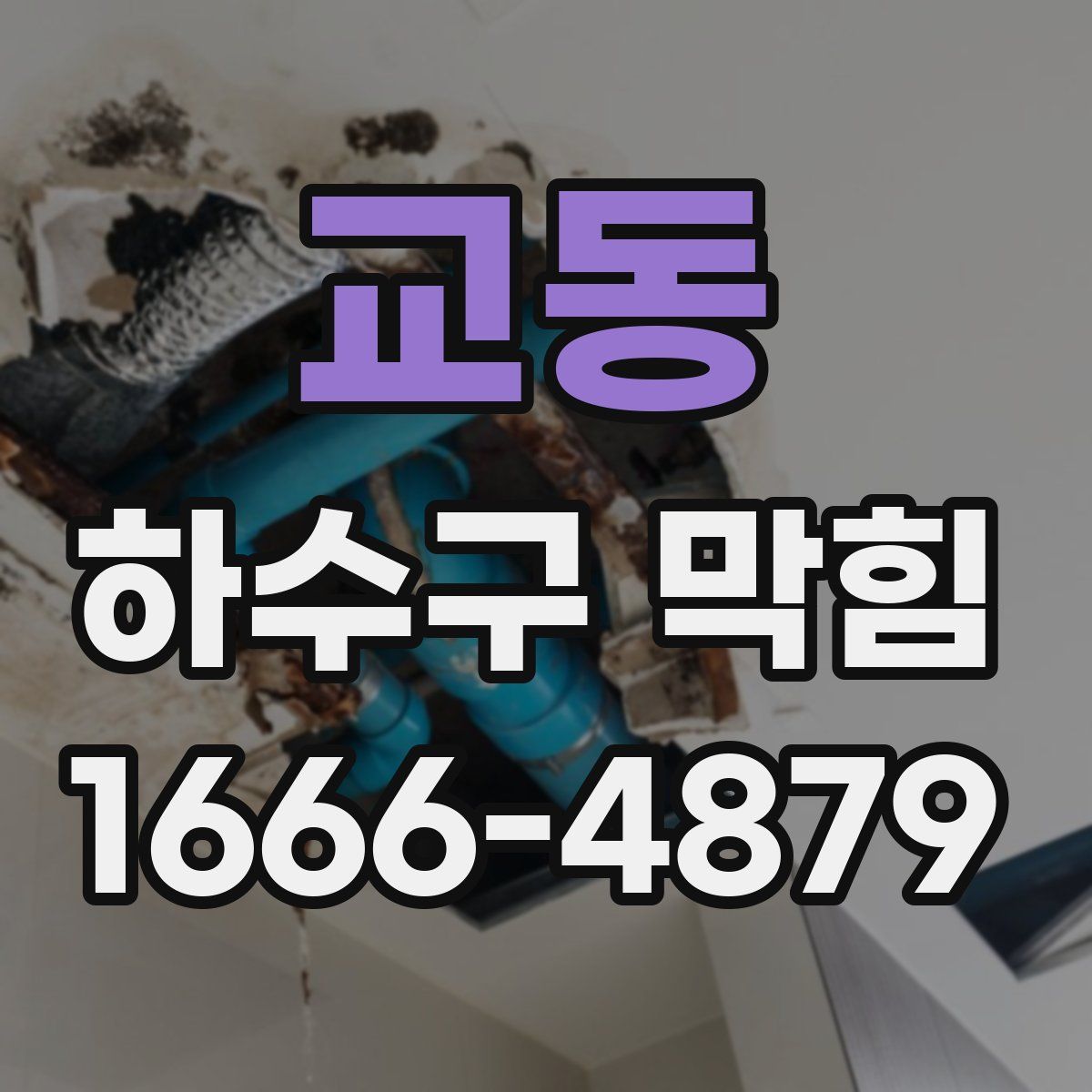 교동 하수구 막힘