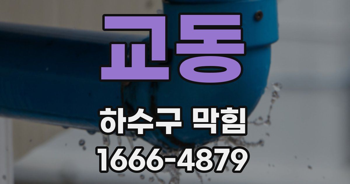교동 하수구 막힘