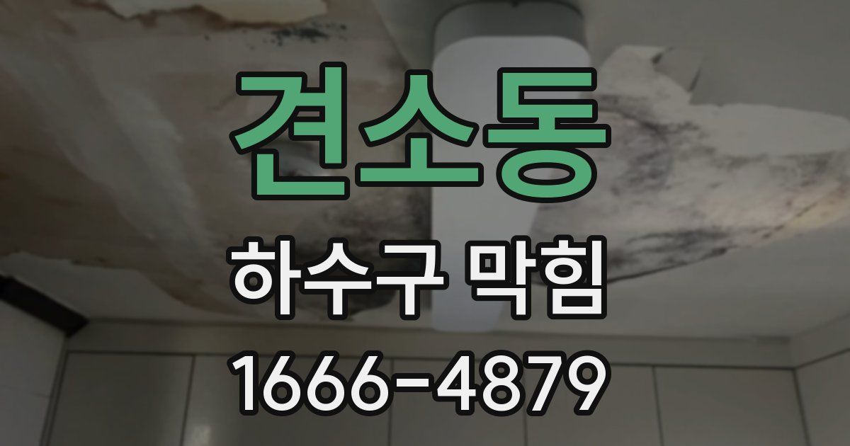 견소동 하수구 막힘