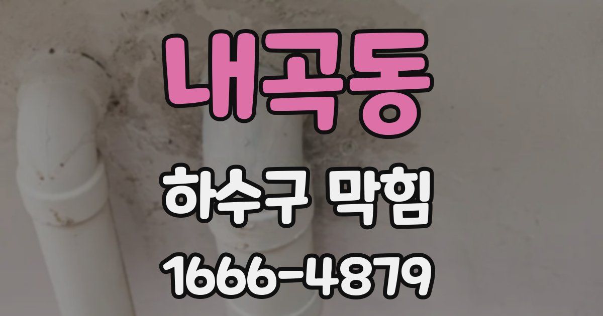 내곡동 하수구 막힘