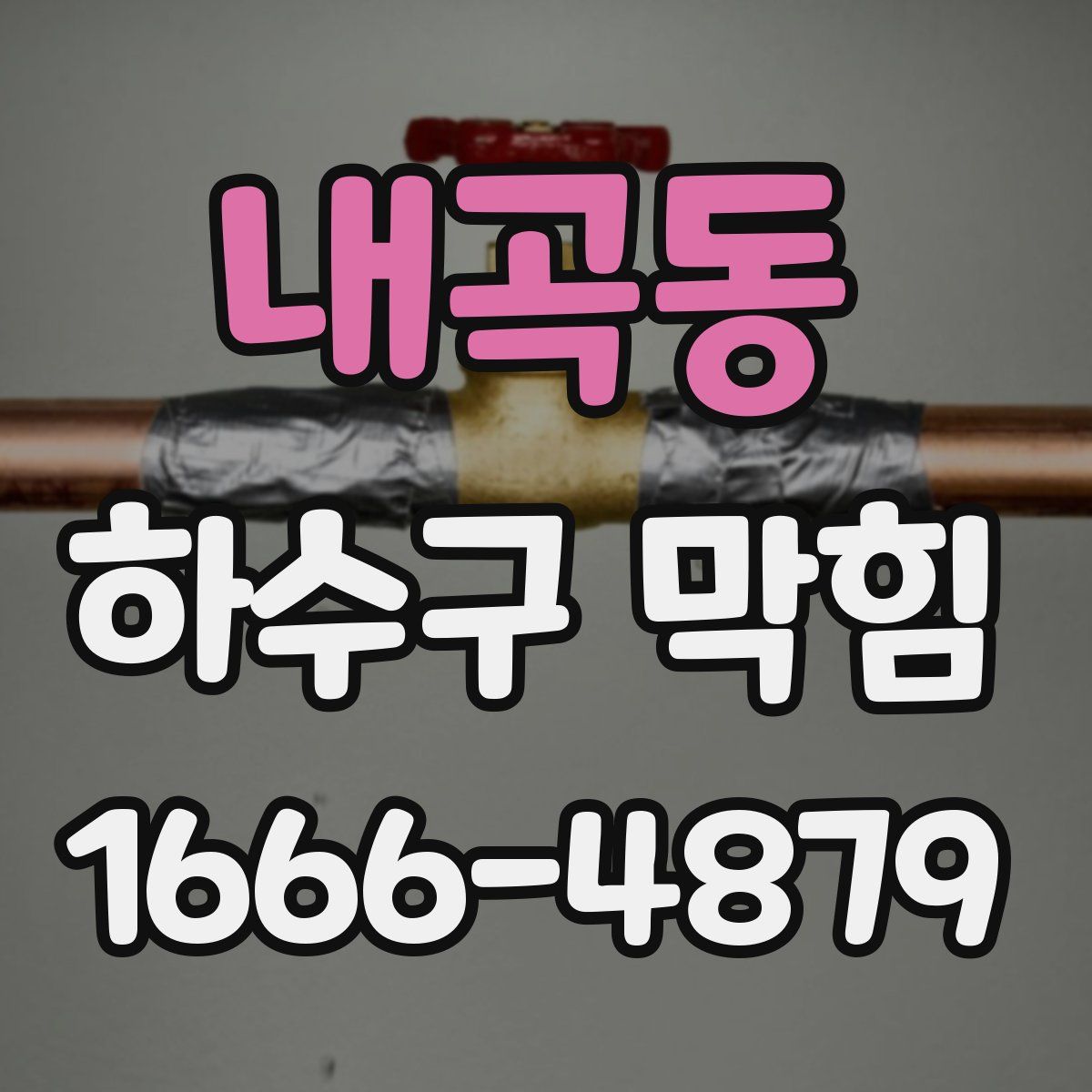 내곡동 하수구 막힘