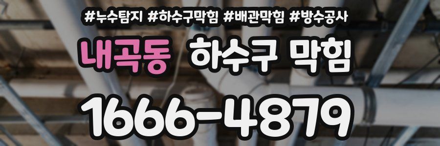 내곡동 하수구 막힘