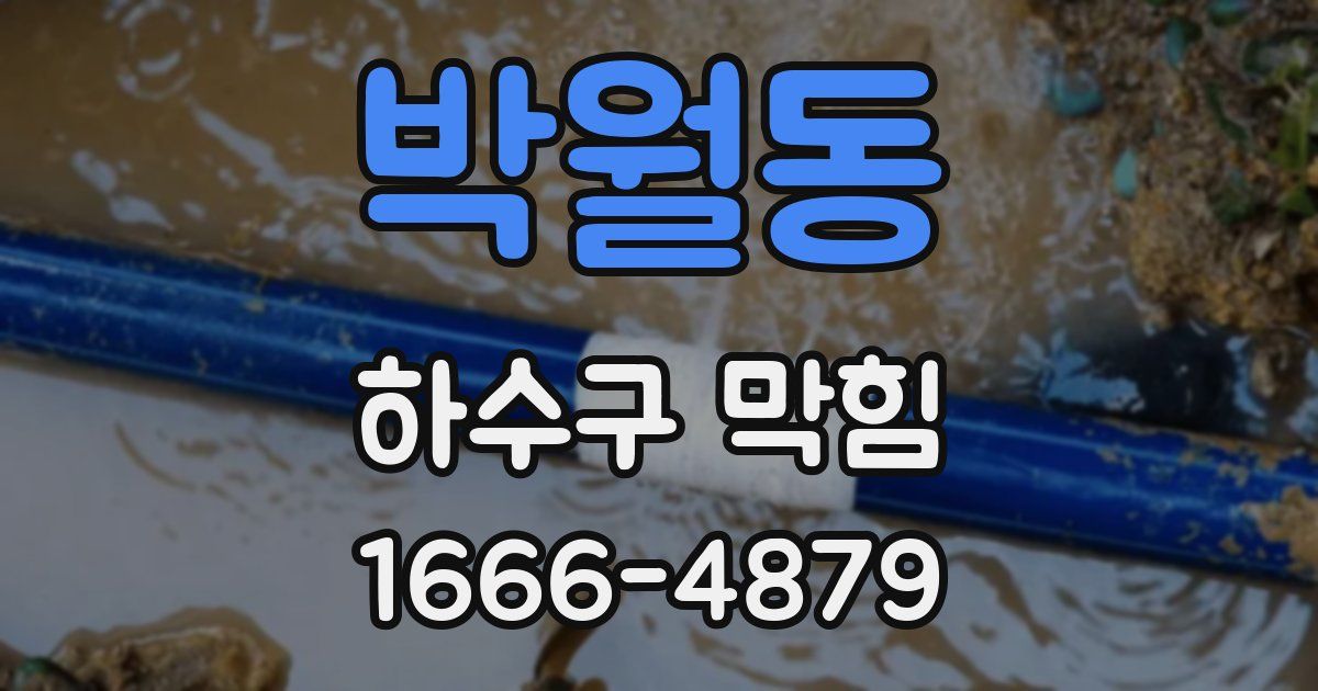 박월동 하수구 막힘