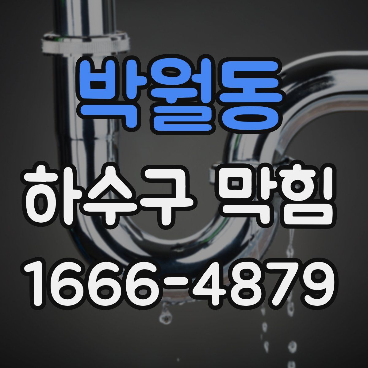박월동 하수구 막힘