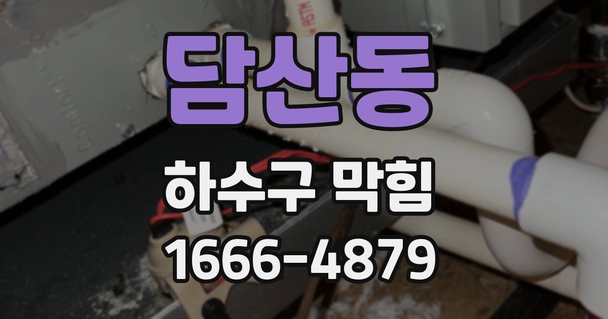 담산동 하수구 막힘