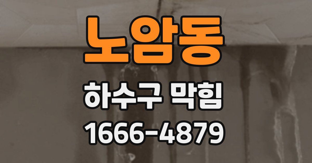 노암동 하수구 막힘