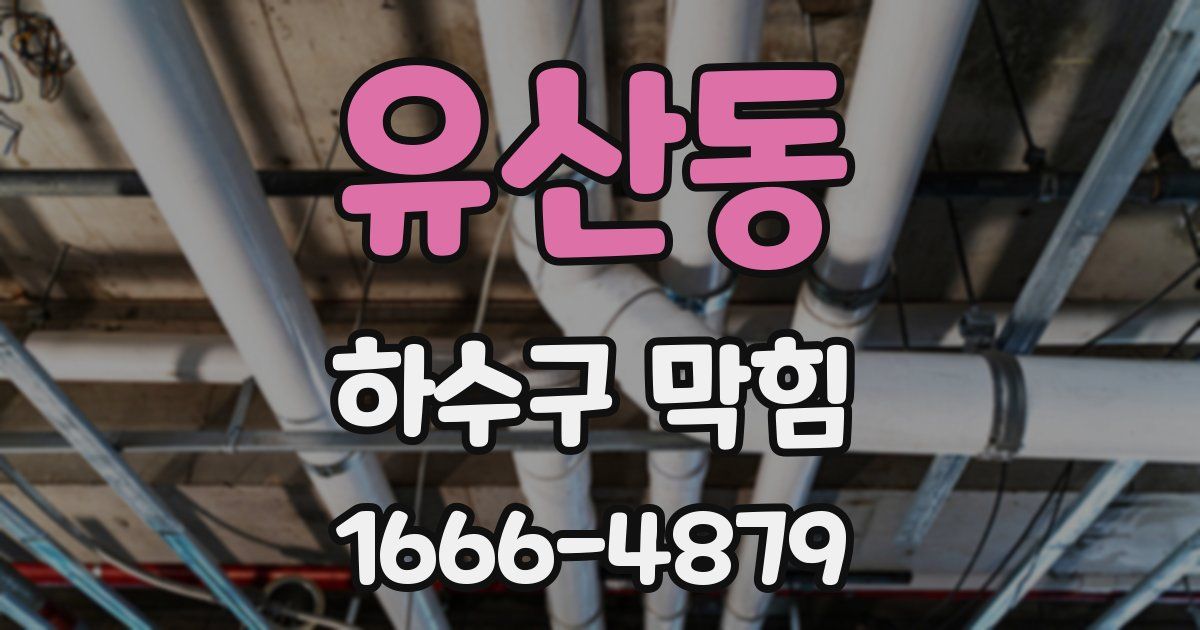 유산동 하수구 막힘