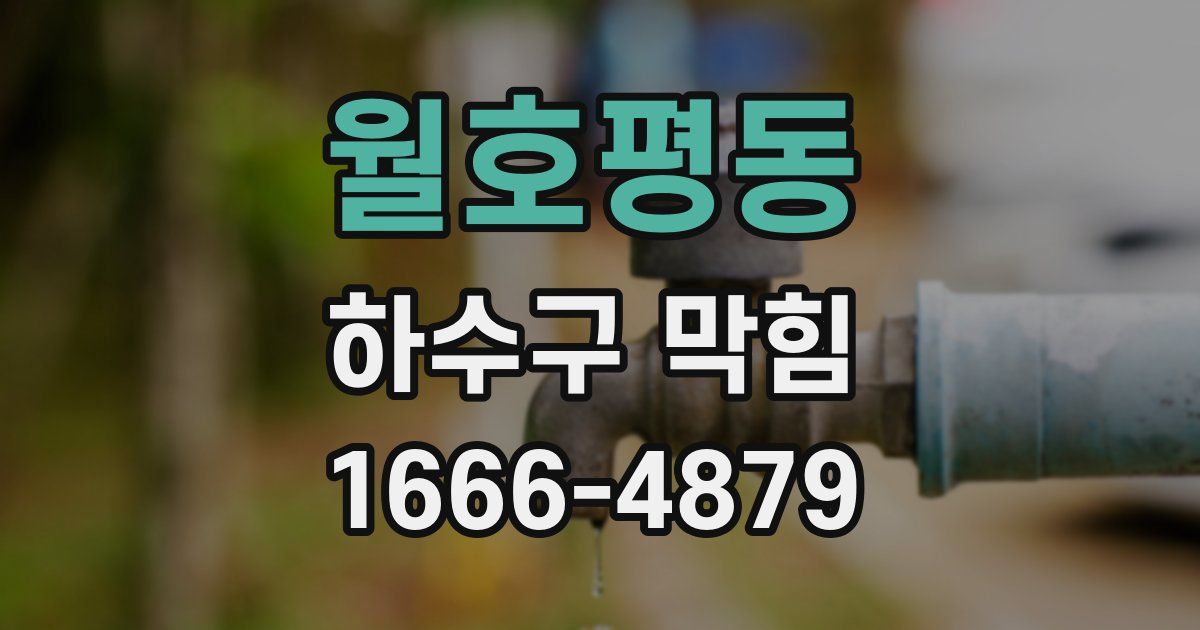 월호평동 하수구 막힘