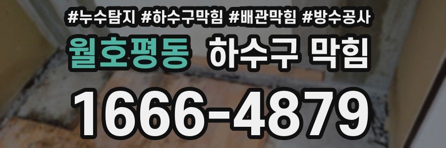 월호평동 하수구 막힘