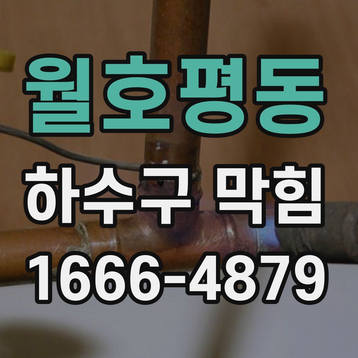 월호평동 하수구 막힘