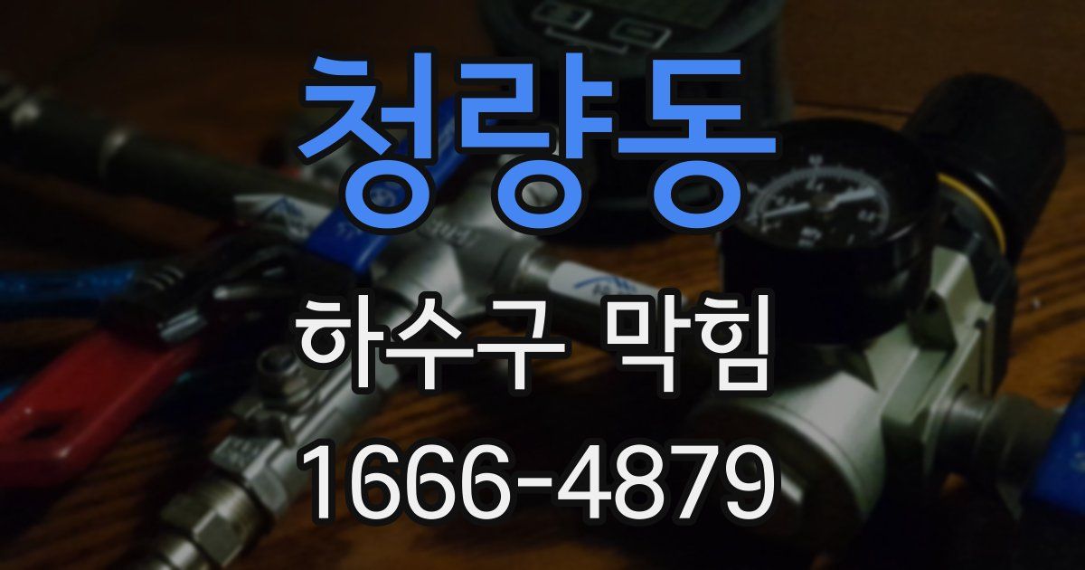 청량동 하수구 막힘