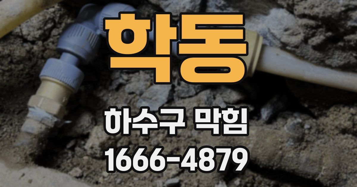 학동 하수구 막힘