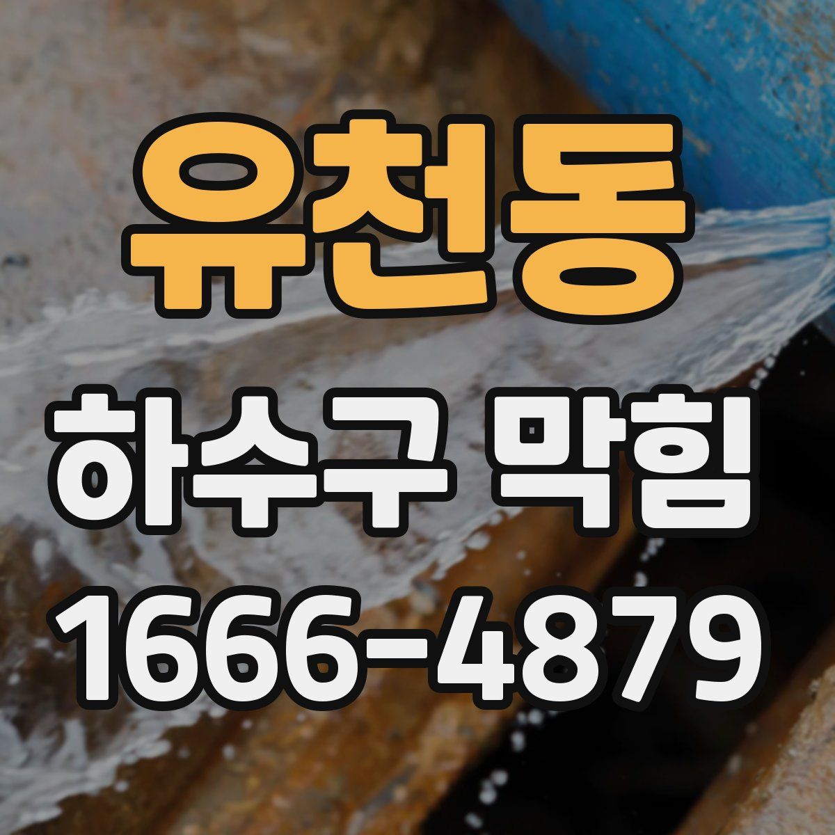 유천동 하수구 막힘