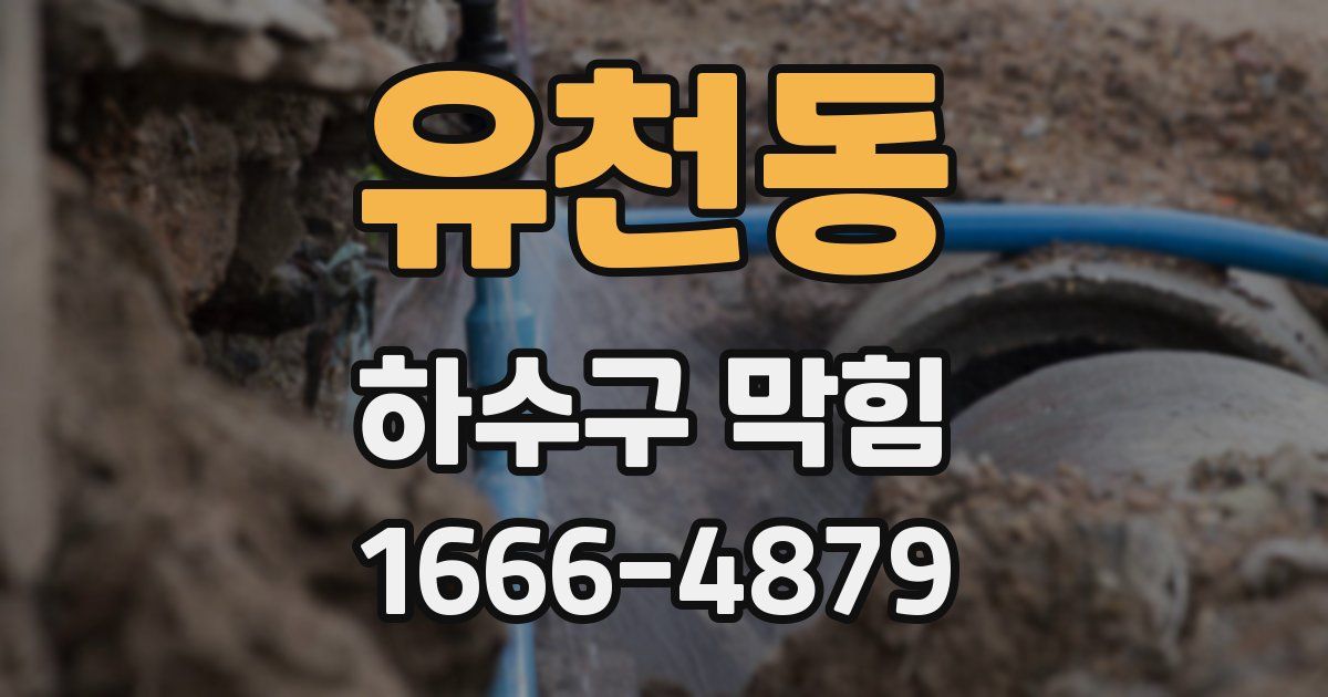 유천동 하수구 막힘