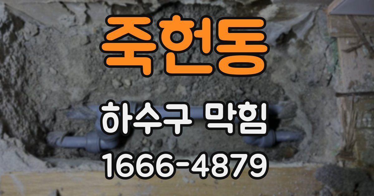 죽헌동 하수구 막힘
