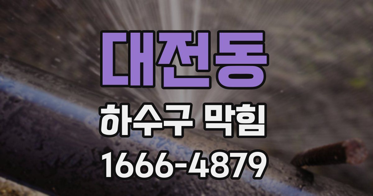 대전동 하수구 막힘