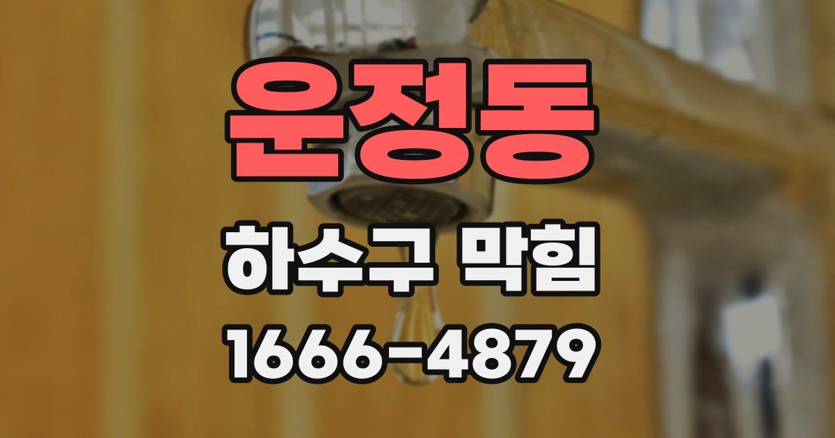 운정동 하수구 막힘