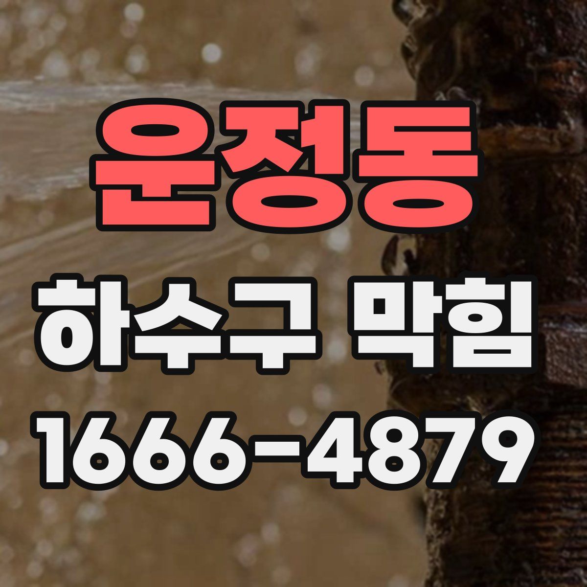 운정동 하수구 막힘
