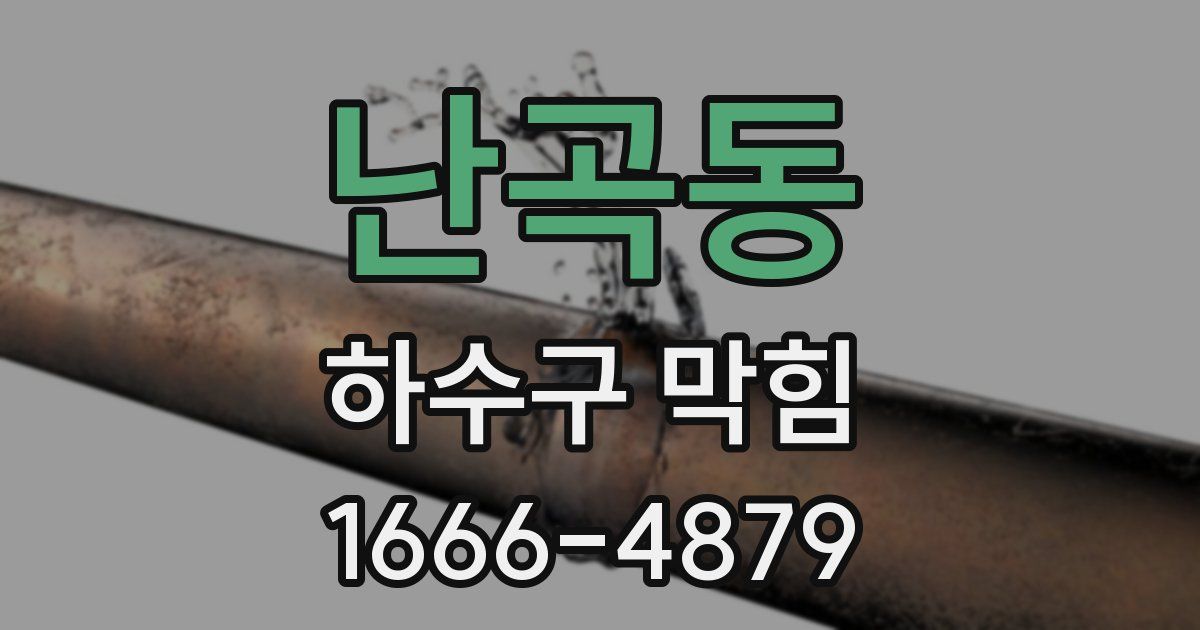 난곡동 하수구 막힘