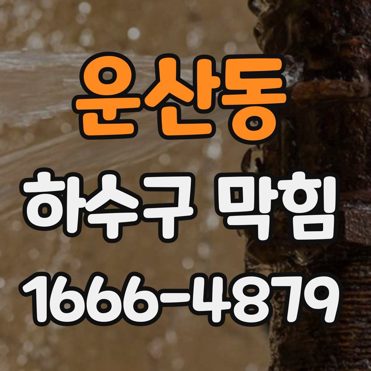 운산동 하수구 막힘