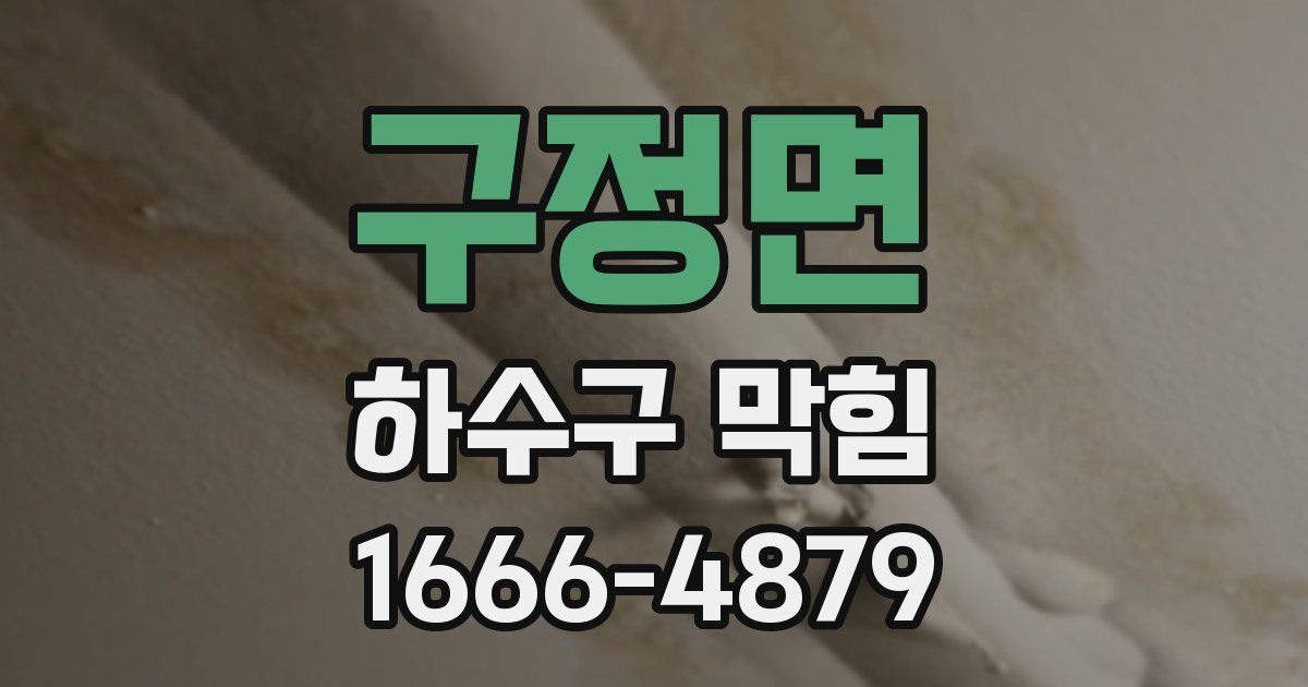구정면 하수구 막힘