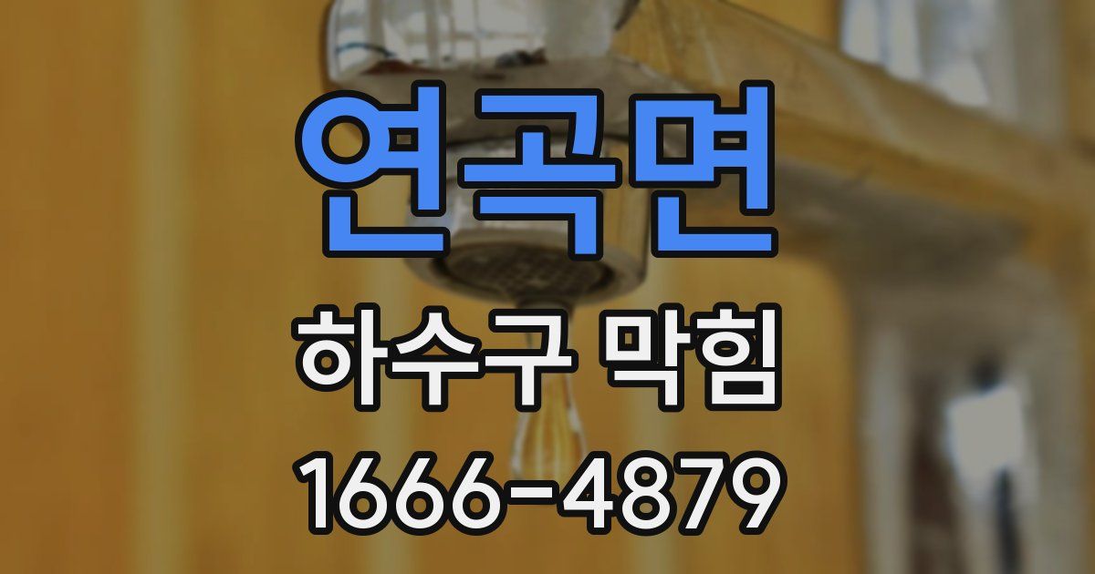 연곡면 하수구 막힘