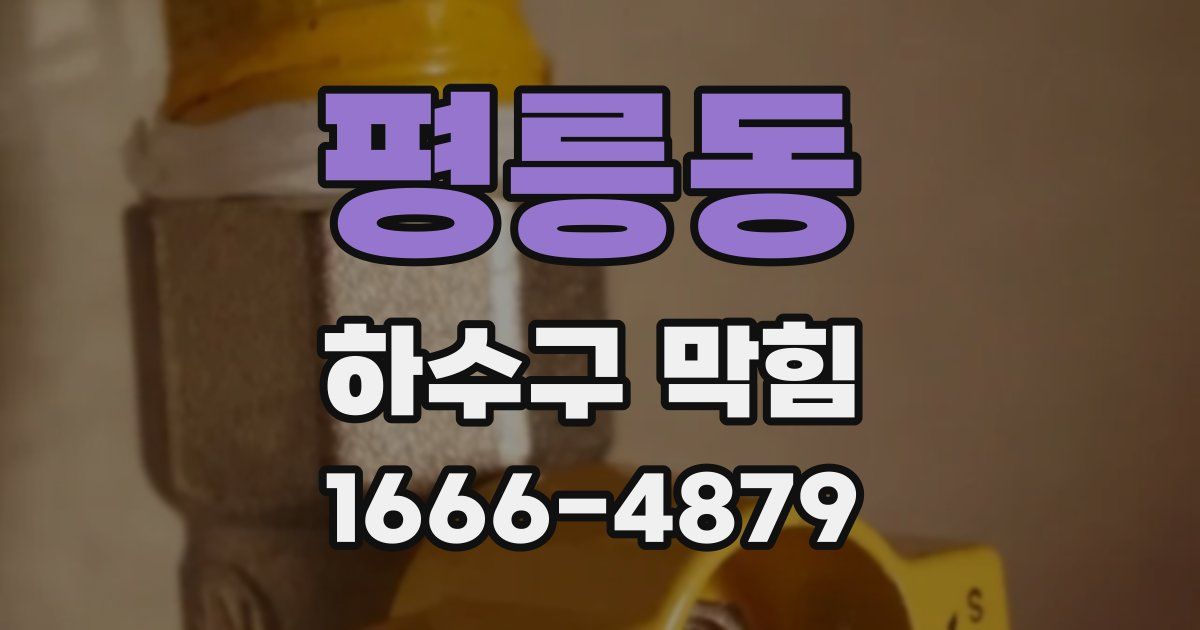 평릉동 하수구 막힘