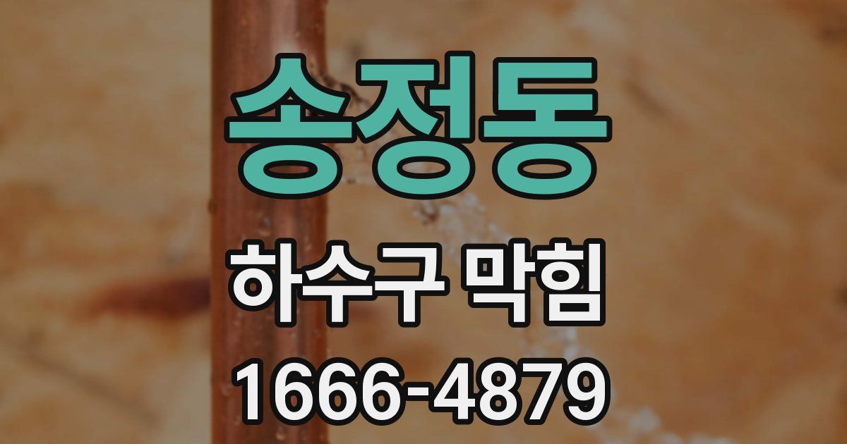 송정동 하수구 막힘