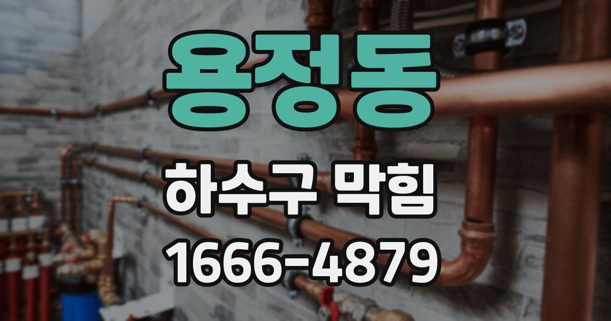 용정동 하수구 막힘