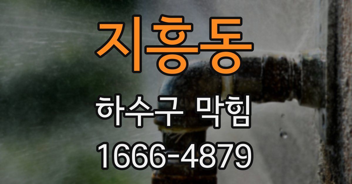 지흥동 하수구 막힘