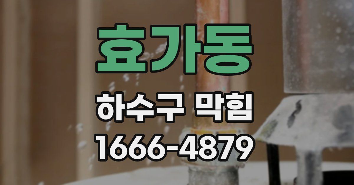 효가동 하수구 막힘