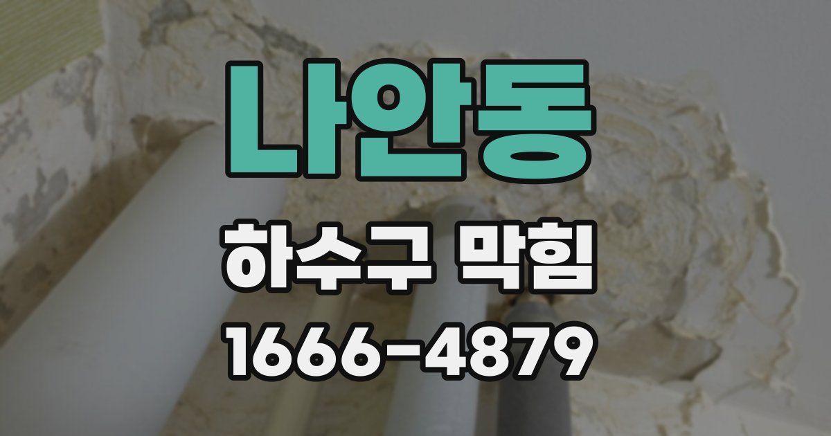 나안동 하수구 막힘
