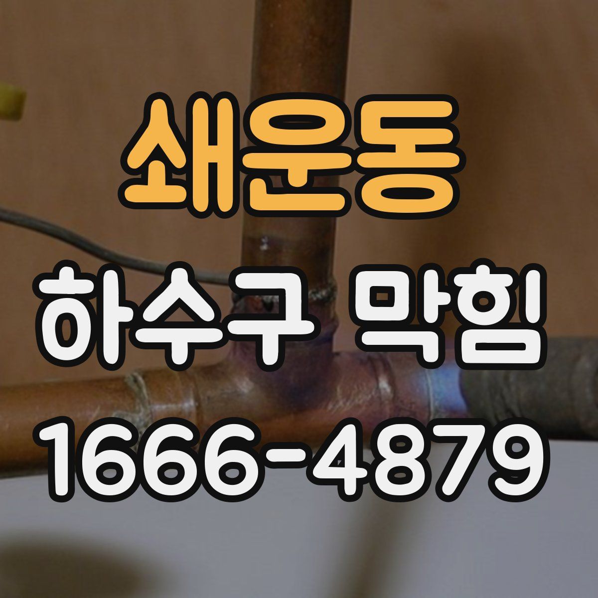 쇄운동 하수구 막힘
