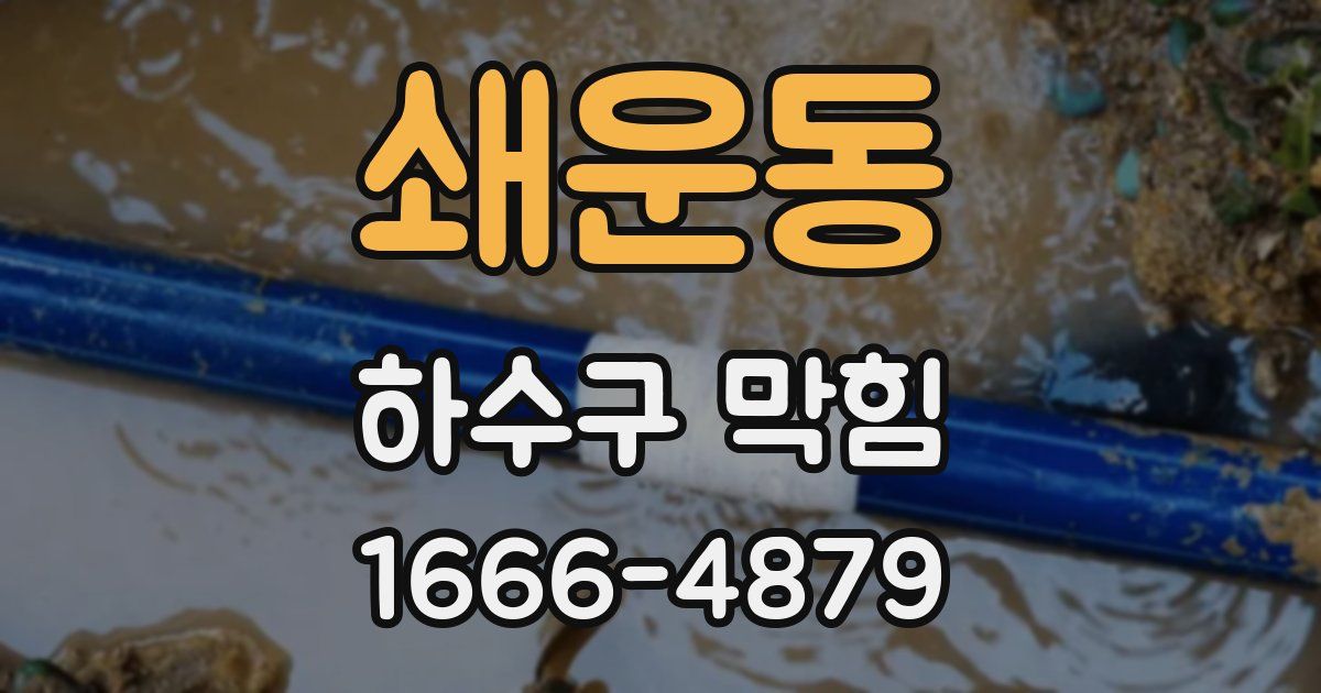 쇄운동 하수구 막힘