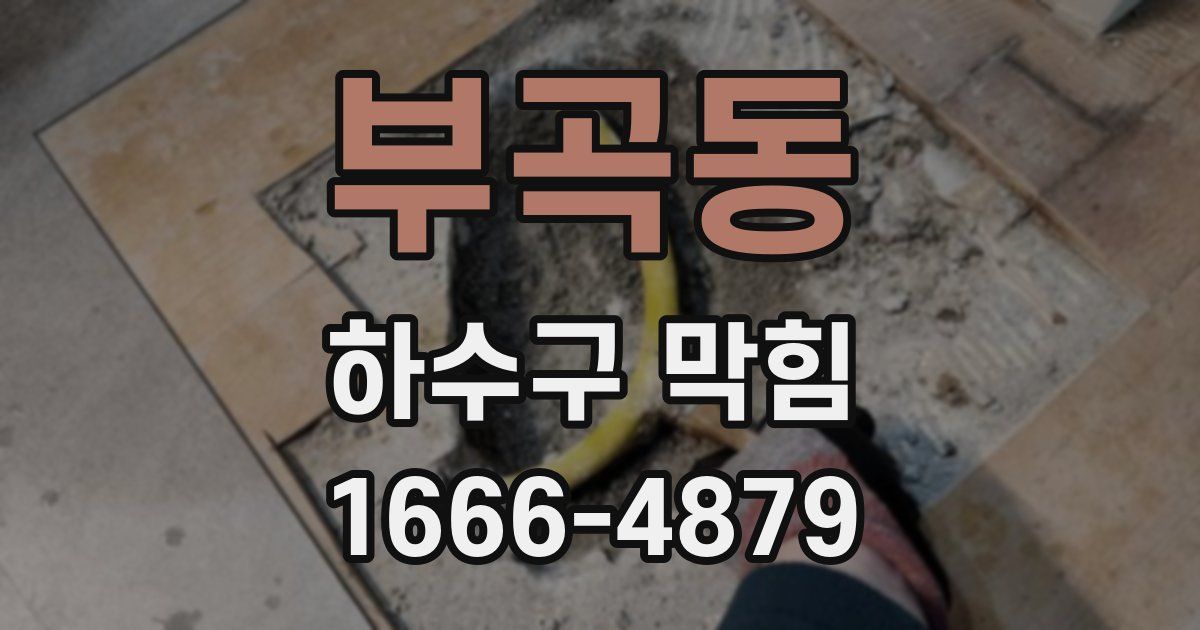 부곡동 하수구 막힘