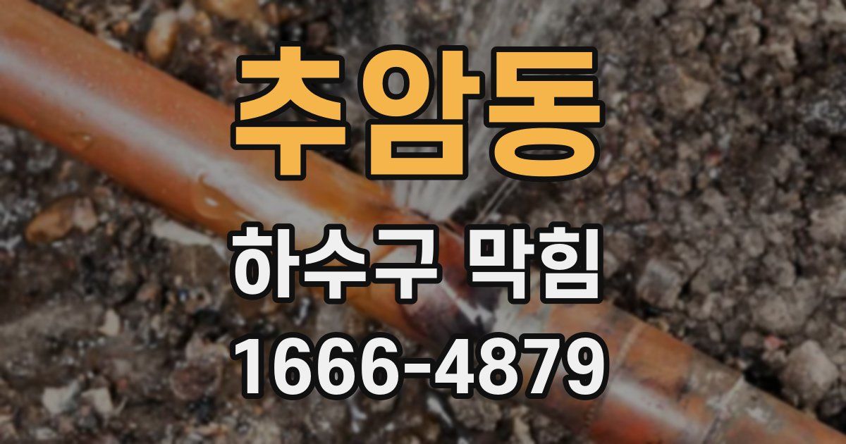 추암동 하수구 막힘
