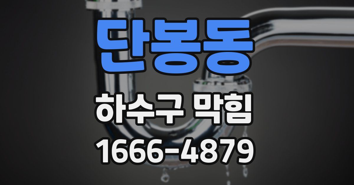 단봉동 하수구 막힘