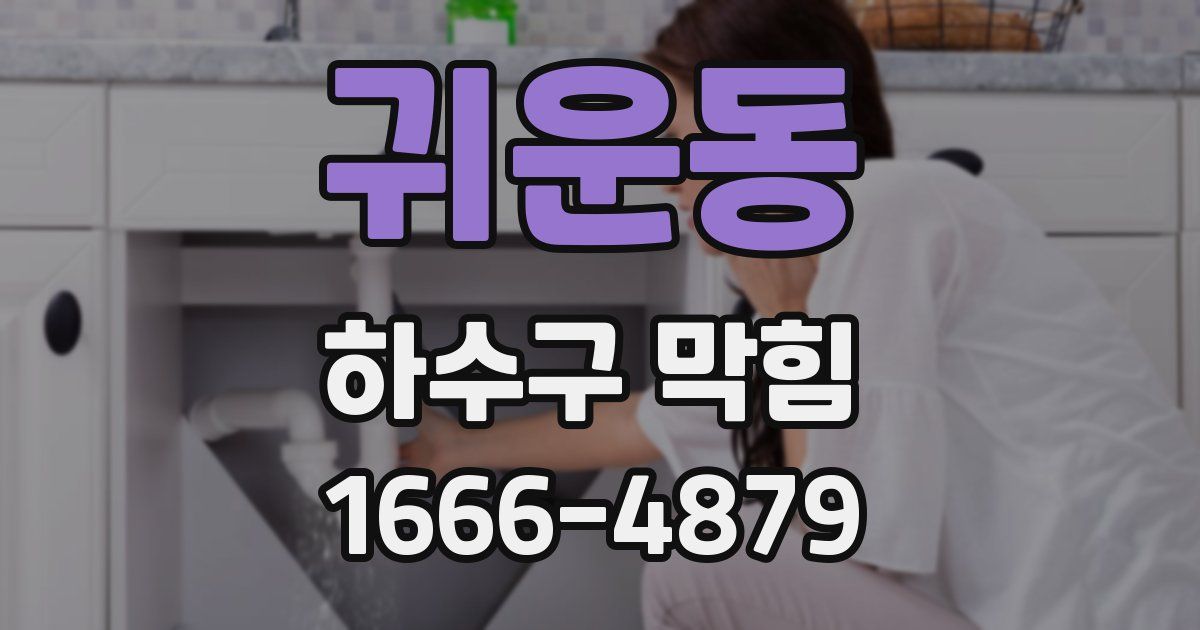 귀운동 하수구 막힘