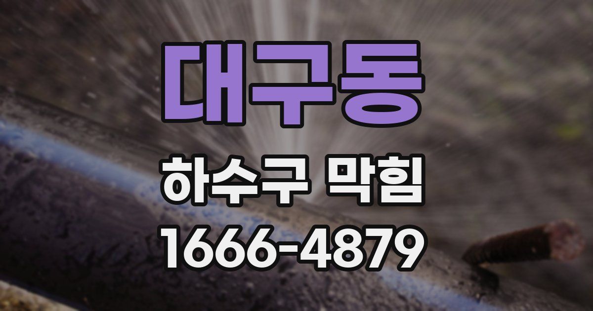 대구동 하수구 막힘