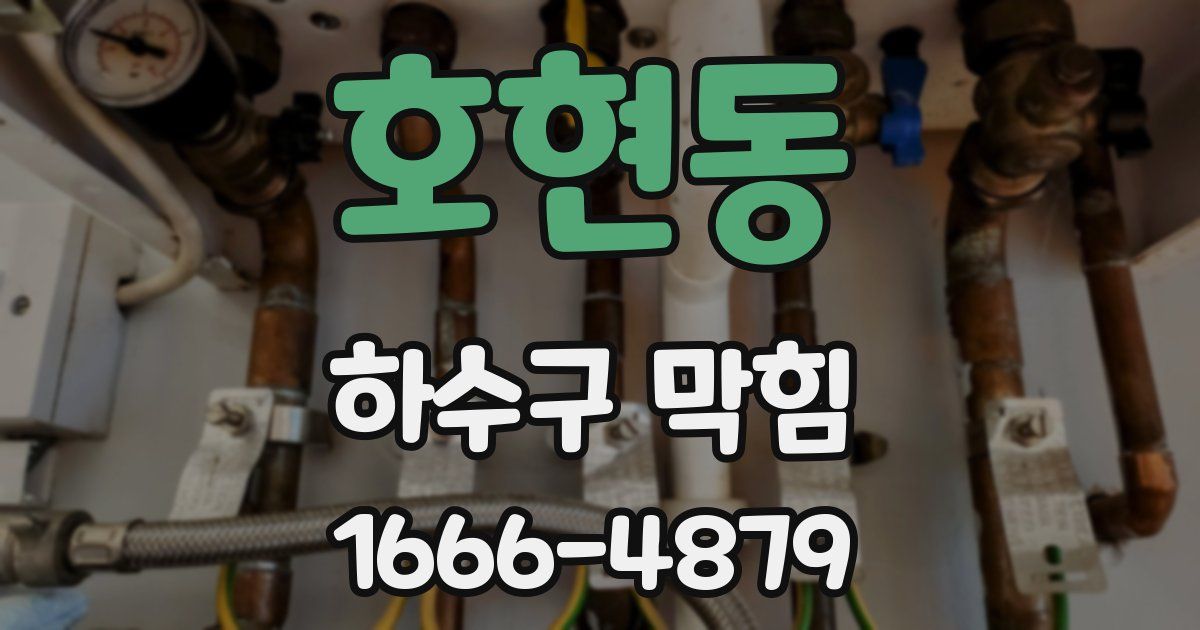 호현동 하수구 막힘