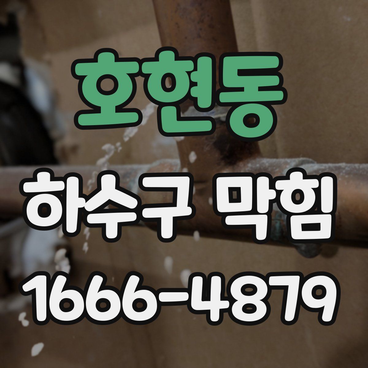 호현동 하수구 막힘