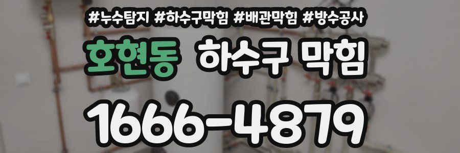 호현동 하수구 막힘