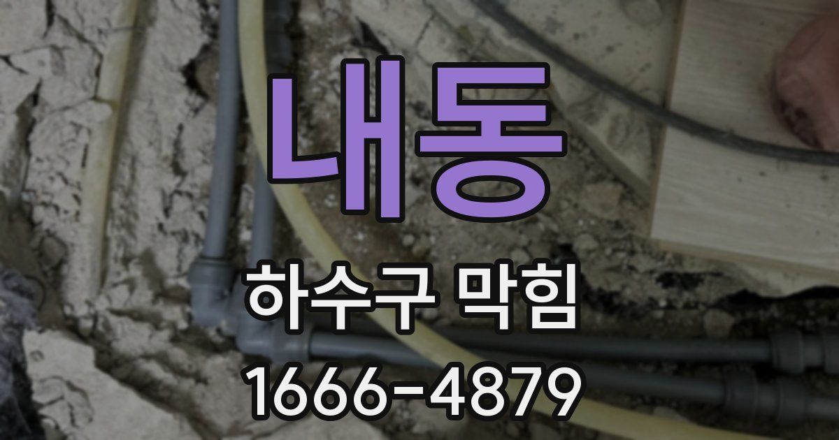 내동 하수구 막힘