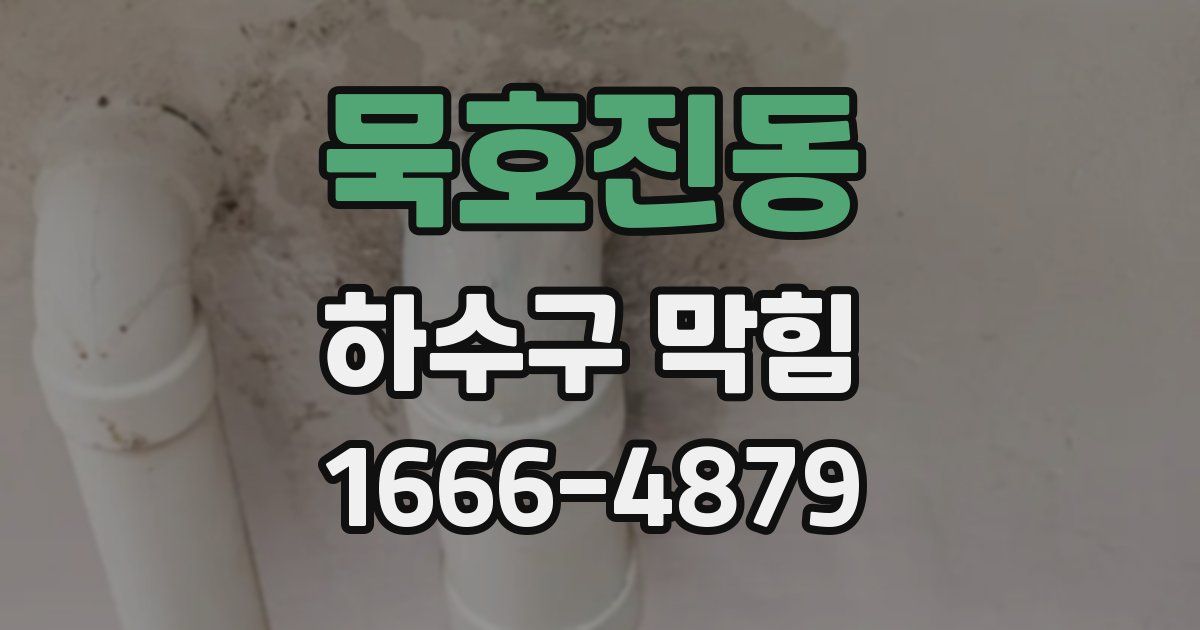 묵호진동 하수구 막힘