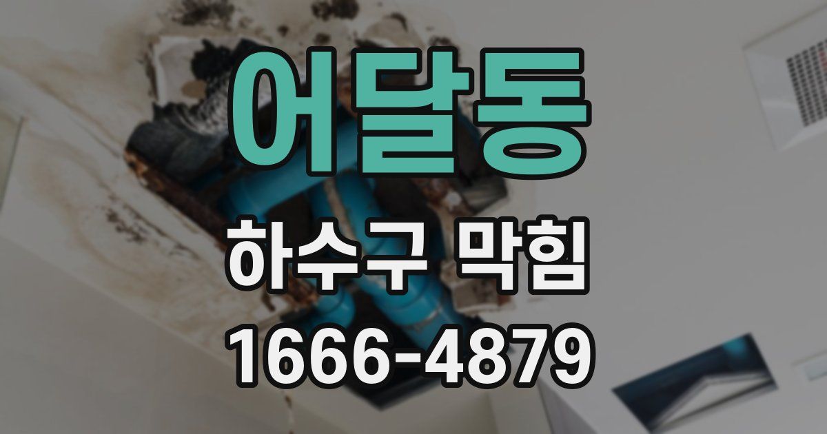 어달동 하수구 막힘