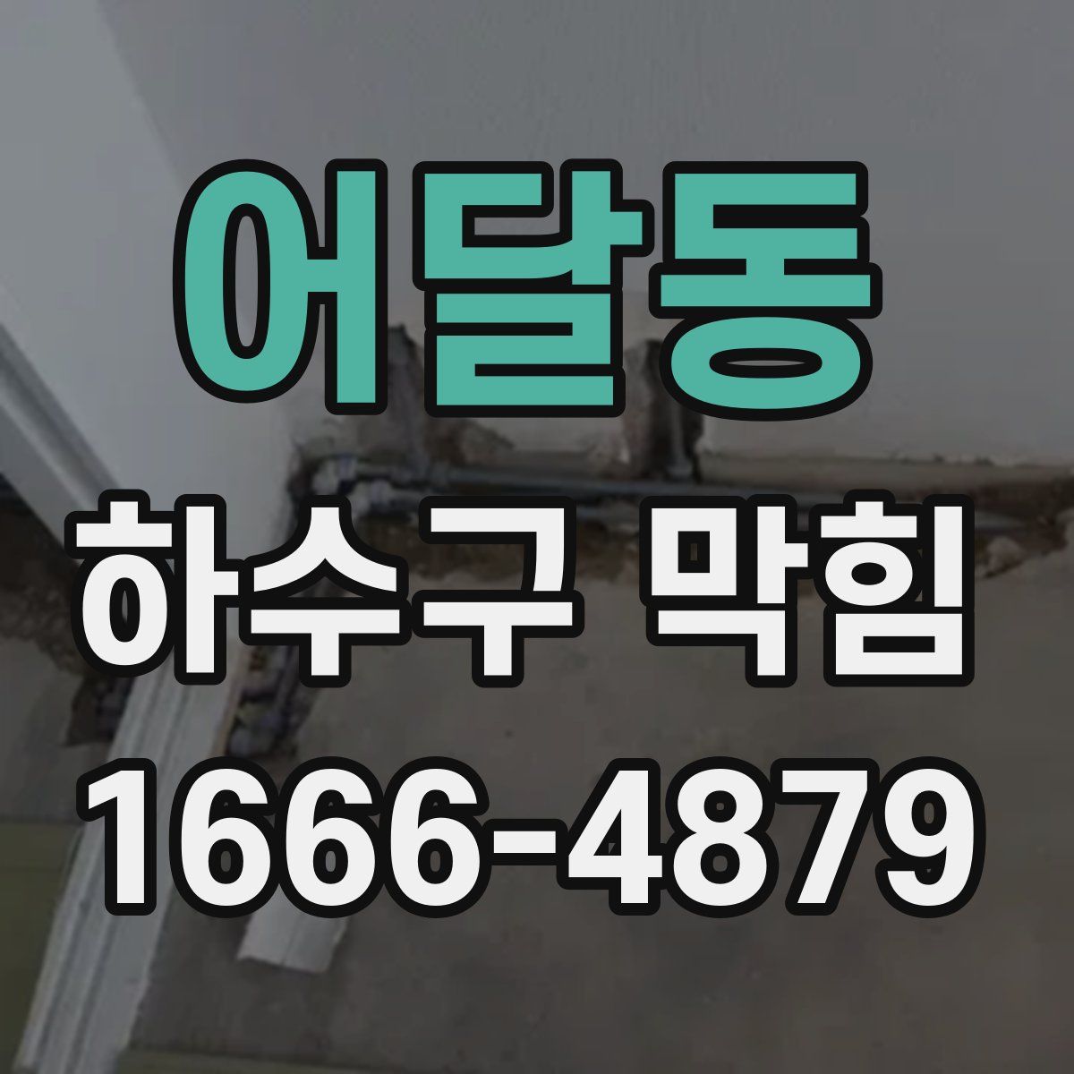 어달동 하수구 막힘