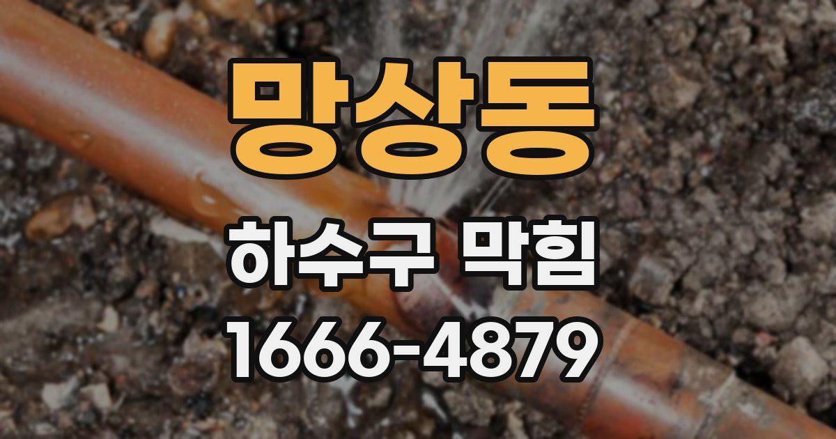 망상동 하수구 막힘