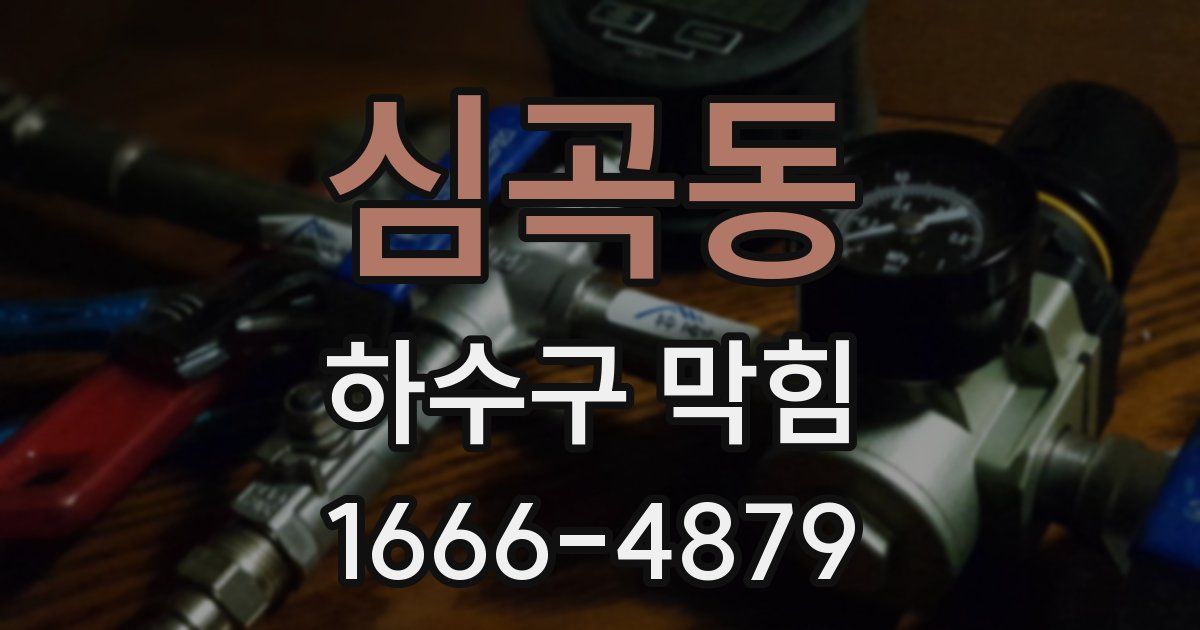 심곡동 하수구 막힘